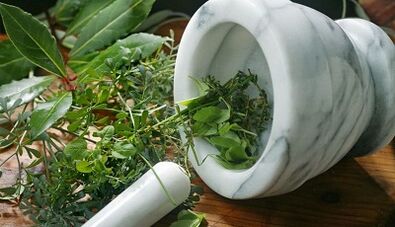 Frais à base de plantes pour le traitement de la prostatite
